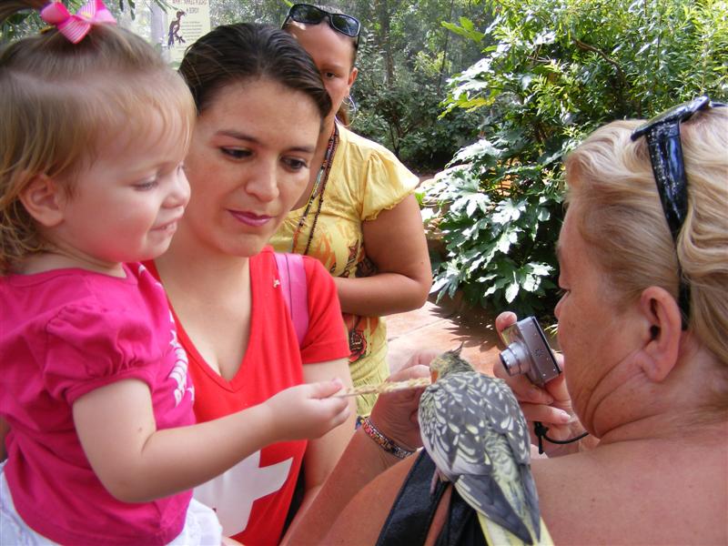 Jess2ndBDay_DALZoo (88) (Medium).JPG - Grandma gets some "love" from the bird...  You know that grey bird is a bit of a pig though! - Dude, save some seed for the rest of the aviary!